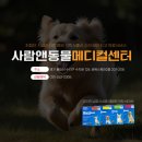 하트동물메디컬센터 이미지