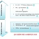 ■ 브로멜라인(bromelain)의 효능 효과 및 섭취 용량 방법 이미지