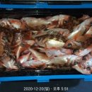 포항시남구장기면양포보건진료소 이미지