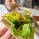 남해 독일마을 맛집 추천 분위기와 맛을 모두 잡은 데이트 코스, 램스하우스 솔직후기