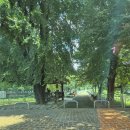 세븐일레븐 평창바위공원점 | 평창 바위공원 무료 캠핑장