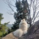 둘레길8구간 | 서울 주말 걷기 좋은 곳,북한산둘레길8구간 구름정원길 탐방후기