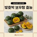 굿모닝건강스토어 | 단호박효능 익히는법 단호박 밤호박 차이 굿모닝제주 미니단호박 밤호박 보우짱 무농약 내돈내산 후기