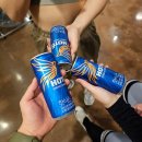 UR(파주시)-[책향기로]-하-7 | 파주 운정 짐원휘트니스 헬스장 내돈내산 일일권 후기