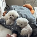 하늘우