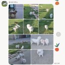 콩이네하우스 이미지