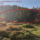 옥천군청성면화성보건진료소 | [토지(답)경매] 2018타경 1751ª충북 옥천군 청성면 화성리 324 경매