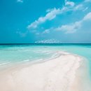 행복한일상 이미지