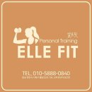 엘르핏 이미지