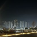 3월 백수의 마지막 일기, 그리고 3월 일기 1편