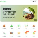 소나무펜션형민박 | 영월 내리계곡 캠핑장 강원도 계곡 가족 펜션 민박(예다움캠핑장)