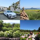 제주렌트카 예약 카모아 제주도 렌트카 추천