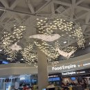 온천농장 | 제주도여행 1일차 공항뚝배기 다이소 메가커피 시소카이막 쉼터체험농장 귤따기체험 산탄온천