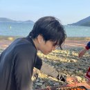 사촌마을해수욕장민박 이미지