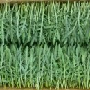 예원농장 이미지