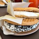 와플대학속초조양캠퍼스 이미지