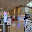 ㈜사려니 | 부산 KNN베이비페어 다녀왔어요 :)