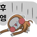 리펙트