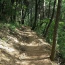 서원산장식당