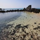 그곳 애월2 이미지