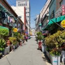 해안시장 내 이미지