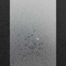 성애약국 이미지