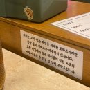 꿀꿀이네 연탄 돼지갈비 | 전포갈비 장림연탄갈비 전포점 돼지갈비 후기