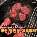 우두머리 | [광안동맛집] 한우 제대로 맛보는 우두머리 수영점