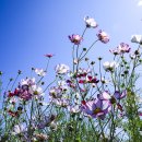 나래농원 이미지