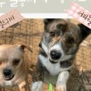 허그온유