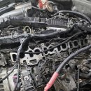 애니카랜드금호점 이미지