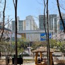 조원공원 이미지