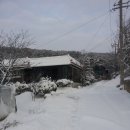 파주1리 이미지