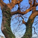 예래동새마을금고 서쪽 이미지