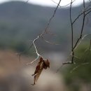 바우네집 이미지