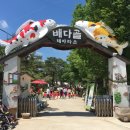 배다골길 티스토리