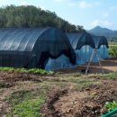 송백농장 이미지