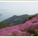 (주)삼정주유소 이미지