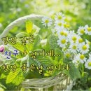 당신을 보러가겠습니다-묵연 스님- 이미지