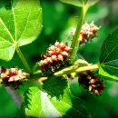 예슬이네 이미지