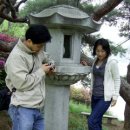 선기로2-6 이미지