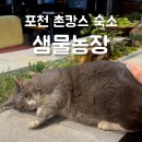 샘물농장 | 서울 근교 촌캉스 포천 샘물농장 에어비앤비 1박 2일 여행 추천