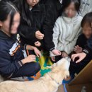 윤슬중학교 | 수지중학교 반려견 체험수업 후기 🐶💛