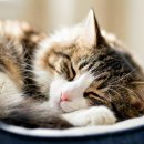 성남햇살약국 | 산소원룸텔 고시원 고민 끝! 산소원룸텔의 진짜 장점