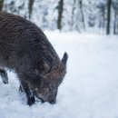 (주)보람운수 이미지