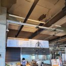 러브독애견카페 | [진해_자은동] 러브앤독애견카페에서 댕댕이랑 놀자.