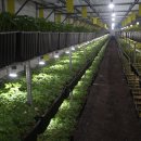 이선호농장 이미지