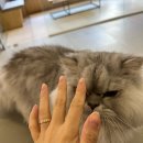 젠동물병원 이미지