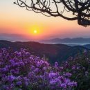 길목 - 천안시 동남구 서부대로 276 | 길목