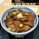 공감몽글계란덮밥 | [홋카이도여행]오비히로 맛집 부타동 돼지고기 덮밥 하나토카치 Hanatokachi 예약 방문 후기!